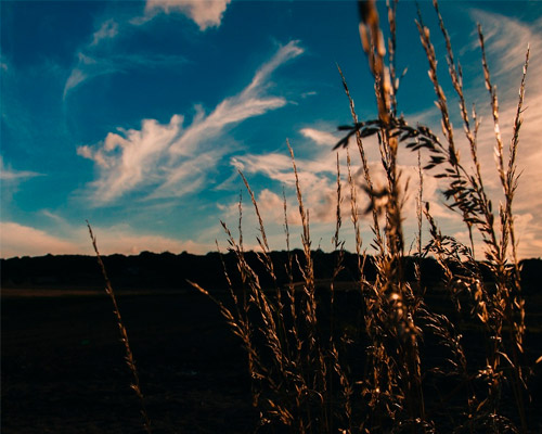 电话炸弹短信业务