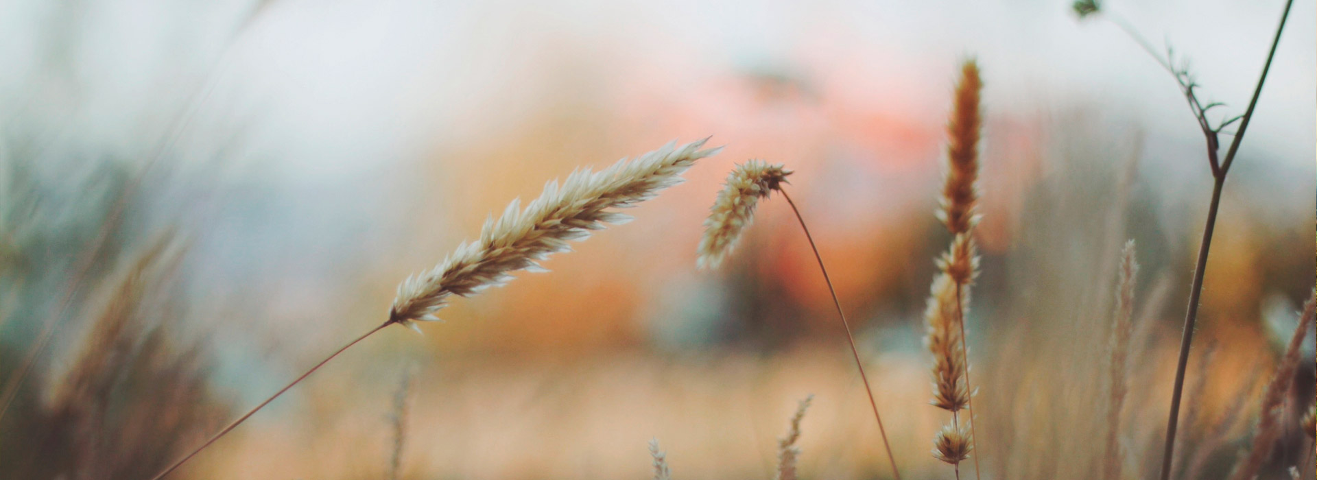 稳定可靠且经久耐用的云呼叫系统