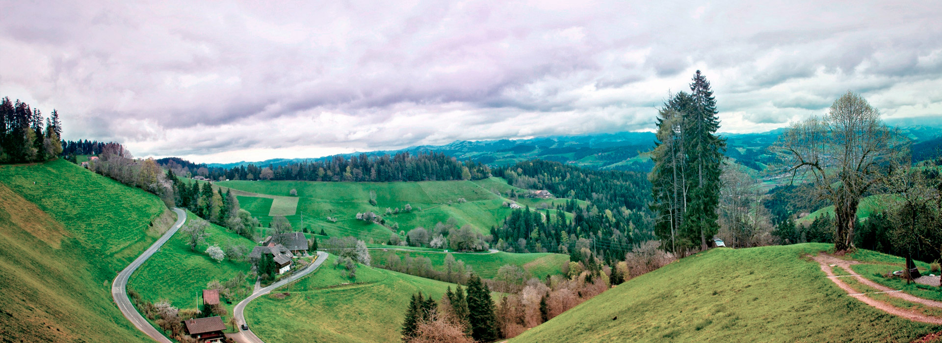电话炸弹短信业务